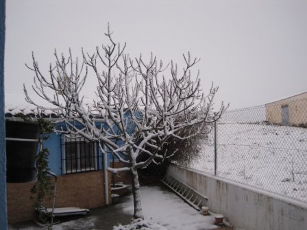 La nevada de este invierno desde mi casa.